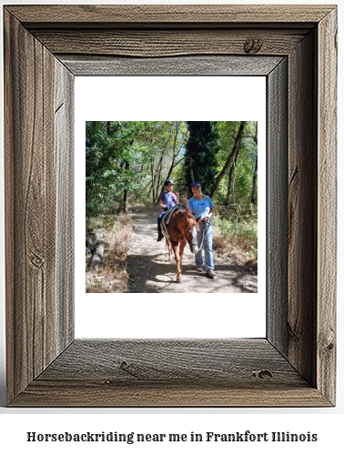 horseback riding near me in Frankfort, Illinois